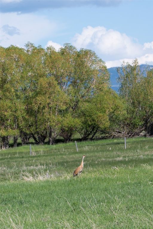 1862 & 1864 Durston Road, Bozeman, MT 59718 photo 12