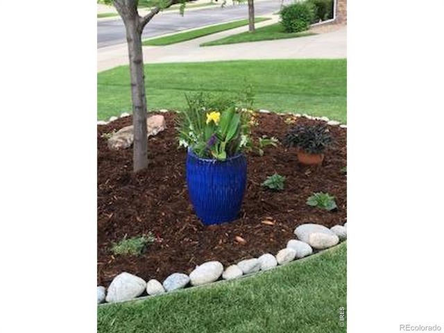 3117 Eagle Butte Avenue, Frederick, CO 80516