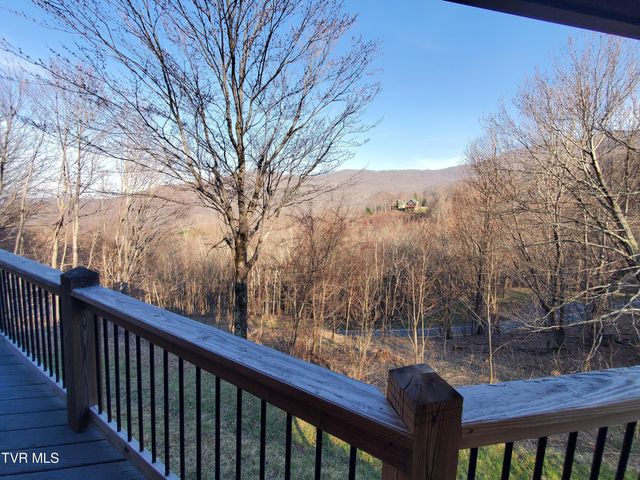 108 Roan View Road, Roan Mountain, TN 37687