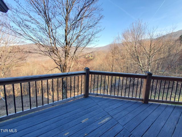 108 Roan View Road, Roan Mountain, TN 37687
