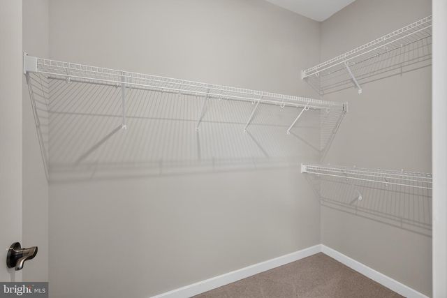 1743 AUTUMN MAPLE LEAF DR, Dumfries, VA 22026
