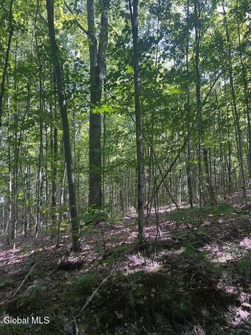 L28 Koster Way, Hebron, NY 12865