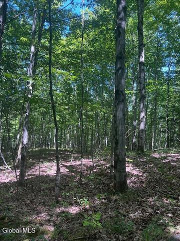 L28 Koster Way, Hebron, NY 12865