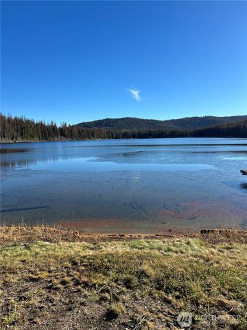 5 Moore, Riverside, WA 98840