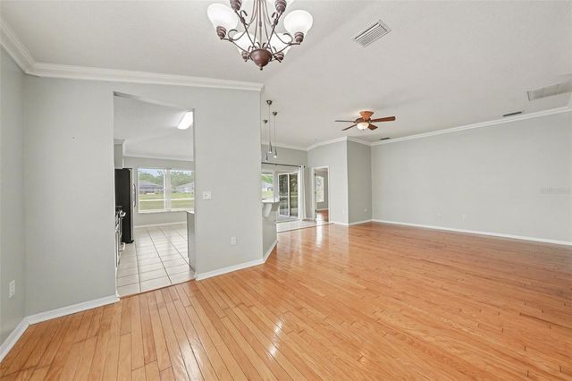 10225 OLD TAMPA BAY DRIVE, San Antonio, FL 33576