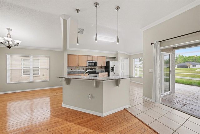 10225 OLD TAMPA BAY DRIVE, San Antonio, FL 33576