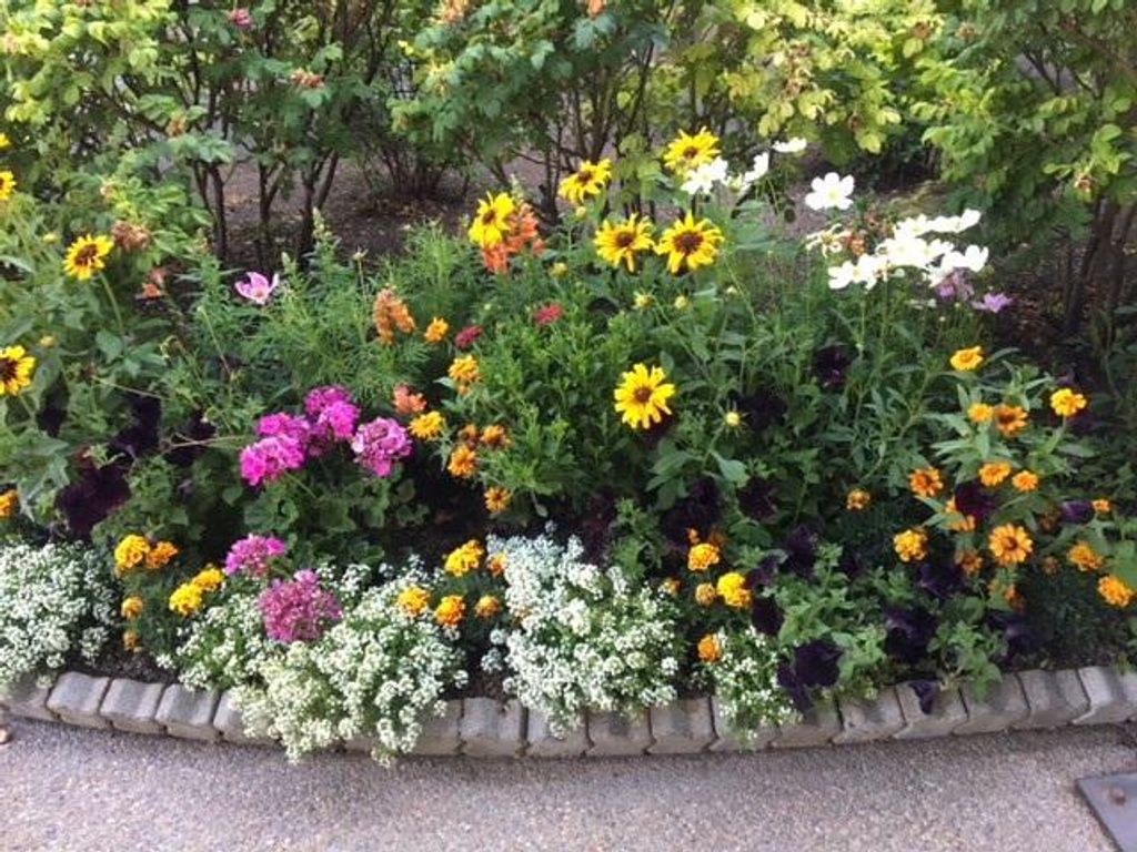 111 Spyglass Hill Loop 924 D-1, Columbia Falls, MT 59912 photo 13