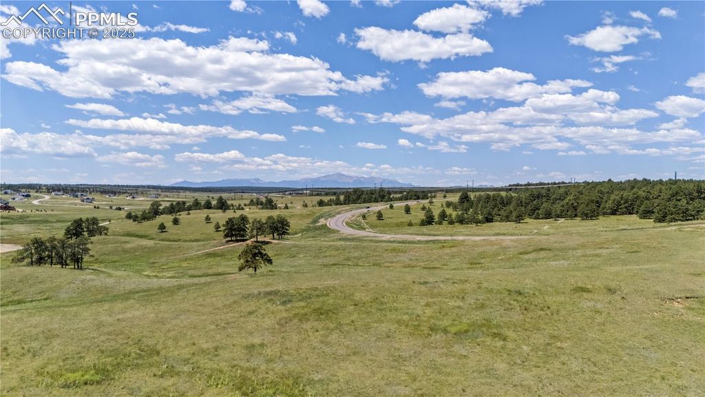 10698 Alamar Way, Colorado Springs, CO 80908 — photo 3