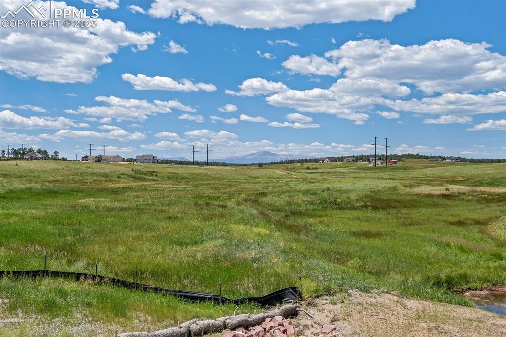 10698 Alamar Way, Colorado Springs, CO 80908 — photo 4