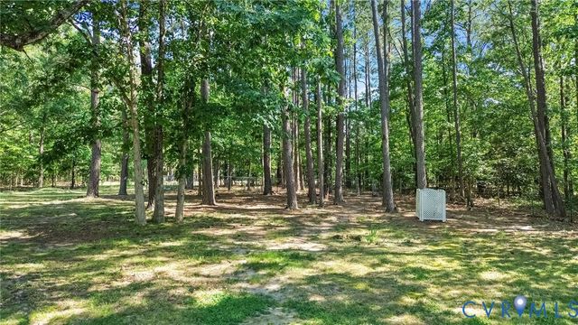 20105 River Rd, Sutherland, VA 23885