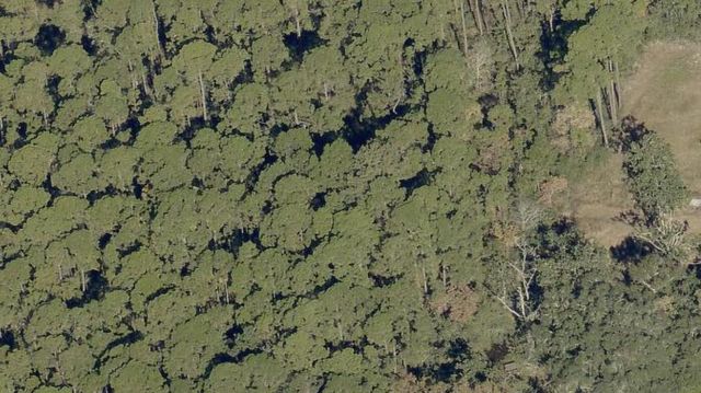 lot 7 N 14th Street, Santa Rosa Beach, FL 32459
