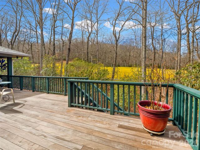 33 Ugedaliyvi Court, Brevard, NC 28712