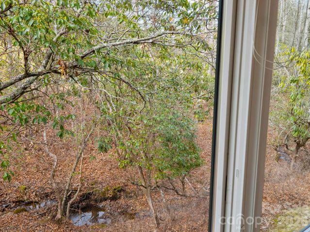 33 Ugedaliyvi Court, Brevard, NC 28712