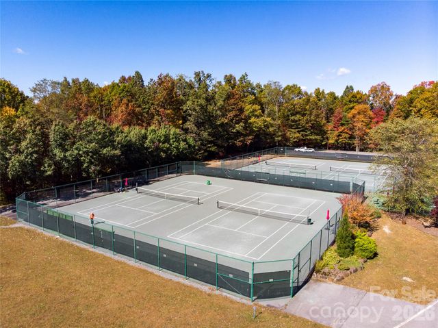 33 Ugedaliyvi Court, Brevard, NC 28712