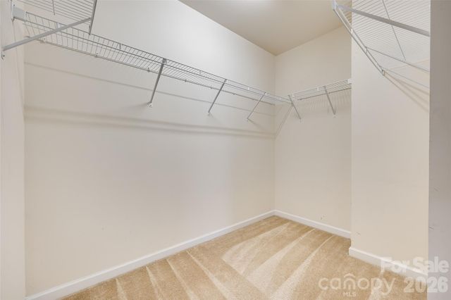 13815 Singleleaf Lane, Charlotte, NC 28278