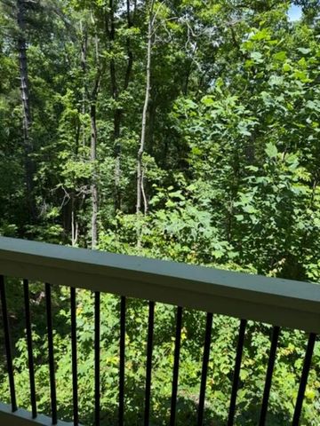155 Bulldog Way, Dahlonega, GA 30533