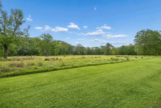 17037 La Hwy 431, Prairieville, LA 70769
