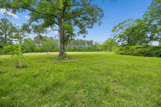 17037 La Hwy 431, Prairieville, LA 70769