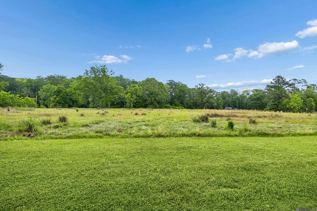 17037 La Hwy 431, Prairieville, LA 70769