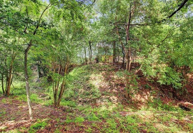 1231 Bay Oaks Road, Houston, TX 77008