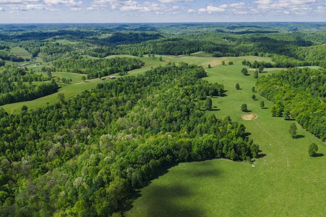 0 Earn Purnell Cemetery Rd, Olive Hill, KY 41164