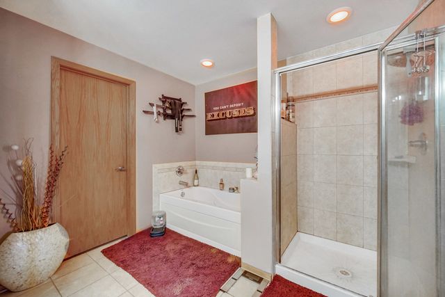 8631 Saddlebred Court 8631, Frankfort, IL 60423