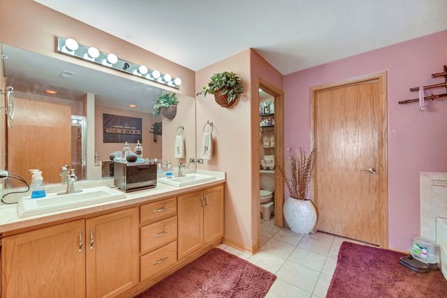 8631 Saddlebred Court 8631, Frankfort, IL 60423