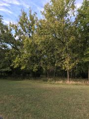 Mockingbird, Afton, OK 74331