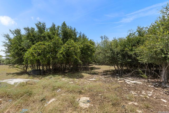 229 Roy Nichols, Blanco, TX 78606
