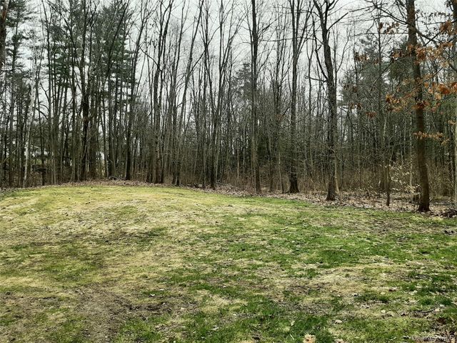 38 Pine Woods Road, Hyde Park, NY 12538