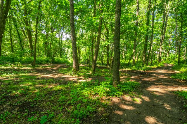 8765 M 66, Leroy Twp, MI 49051