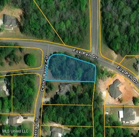 Lot 33 Chinaberry Circle, Carriere, MS 39426