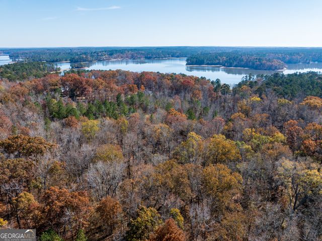 2.19 ACRES Ridgeville Court, Tignall, GA 30668