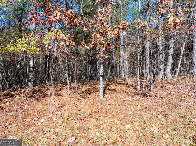2.19 ACRES Ridgeville Court, Tignall, GA 30668