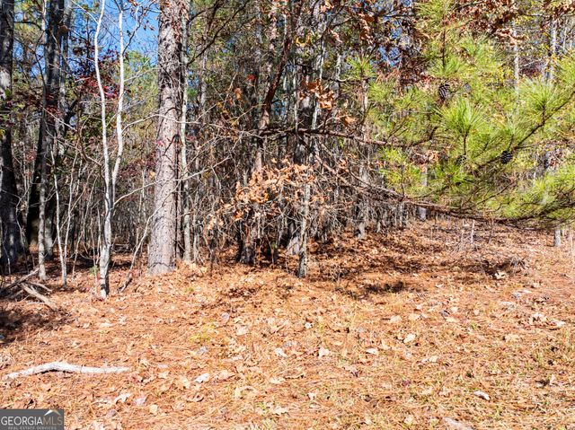 2.19 ACRES Ridgeville Court, Tignall, GA 30668