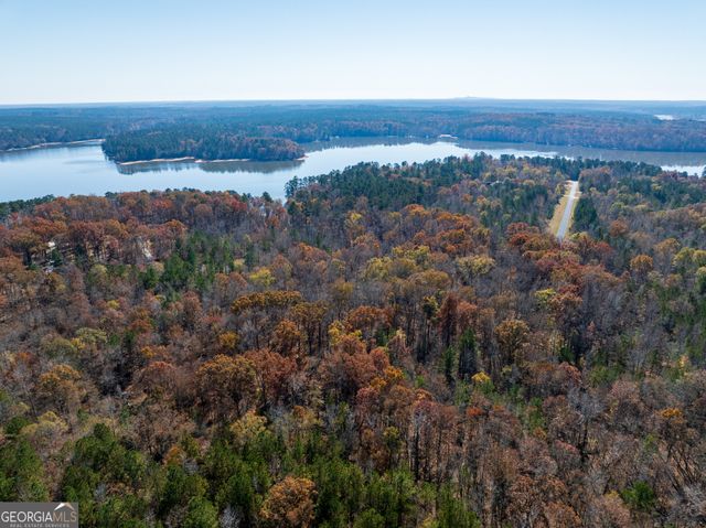 2.19 ACRES Ridgeville Court, Tignall, GA 30668