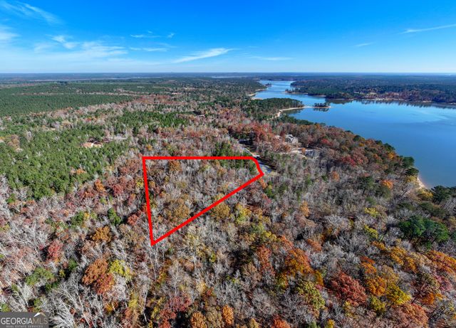 2.19 ACRES Ridgeville Court, Tignall, GA 30668