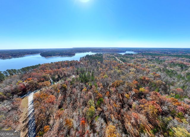 2.19 ACRES Ridgeville Court, Tignall, GA 30668