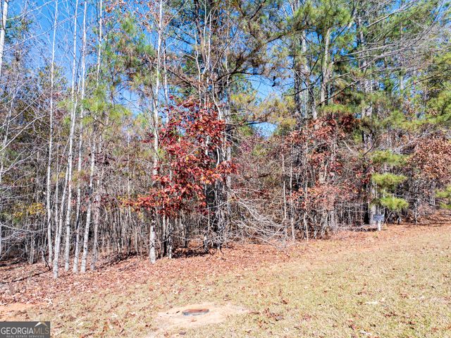 2.19 ACRES Ridgeville Court, Tignall, GA 30668