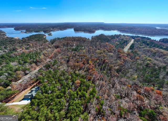 2.19 ACRES Ridgeville Court, Tignall, GA 30668