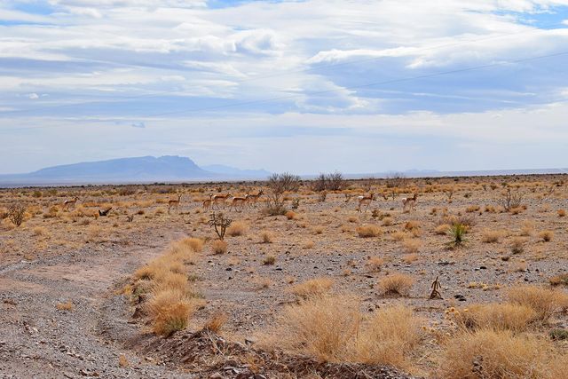 Lot 124 Golden Ridge Road, San Antonio, NM 87832