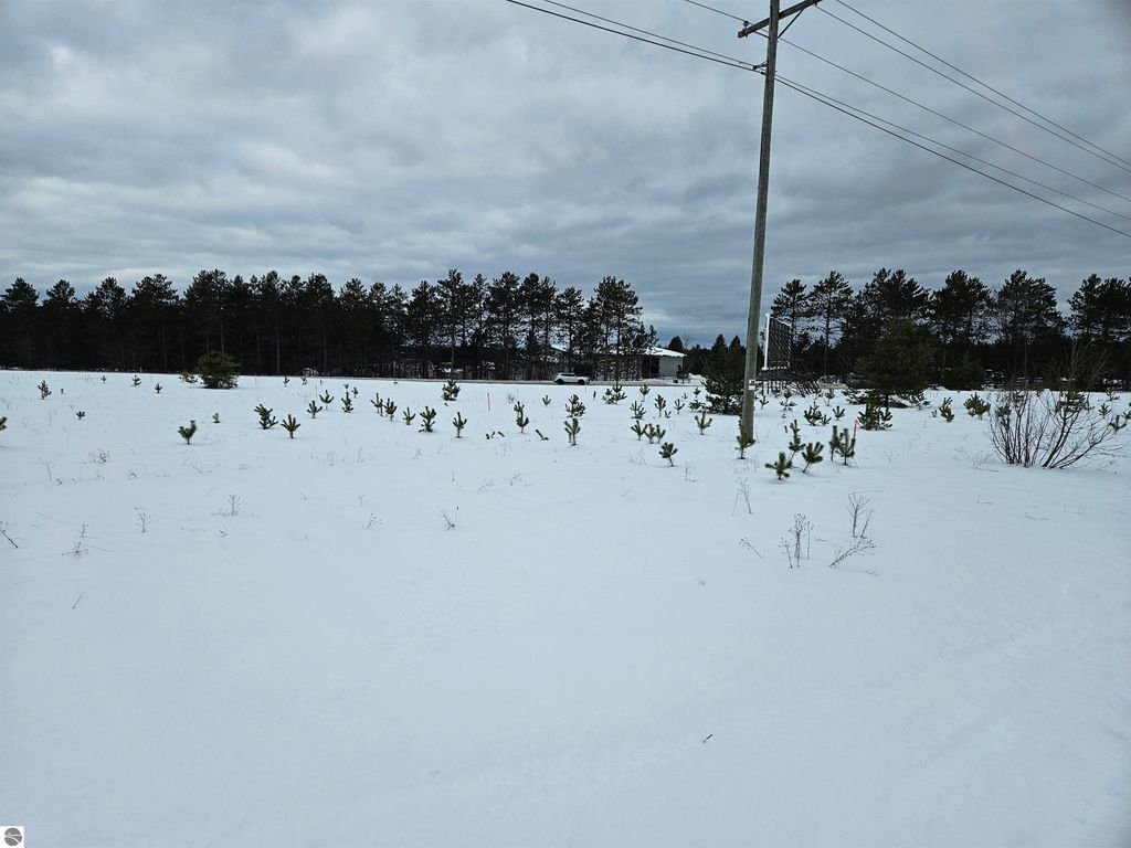 Image 4 of property listing at 00 US-131 N, Mancelona, MI 49659