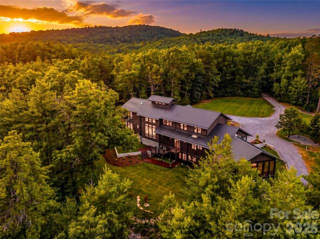 1367 Stones Lake Road, Cedar Mountain, NC 28718