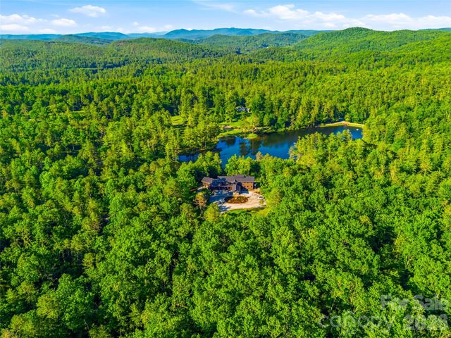 1367 Stones Lake Road, Cedar Mountain, NC 28718