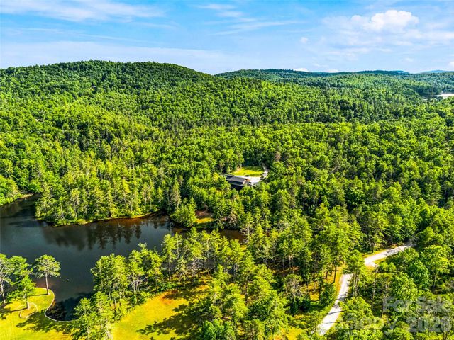1367 Stones Lake Road, Cedar Mountain, NC 28718