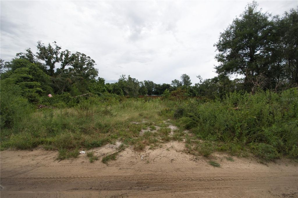 SE 144TH LANE, Umatilla, FL 32784