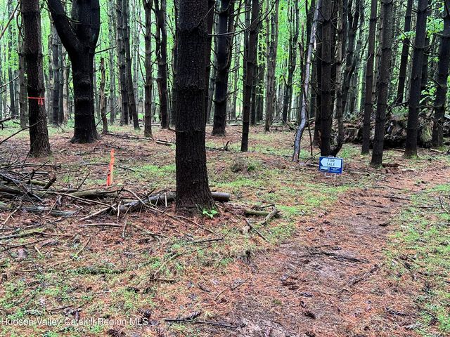 00 John Joy Road Lot 2, Woodstock, NY 12498