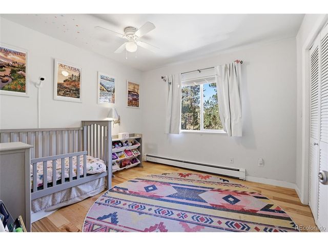 30188 Carriage Loop Dr, Evergreen, CO 80439