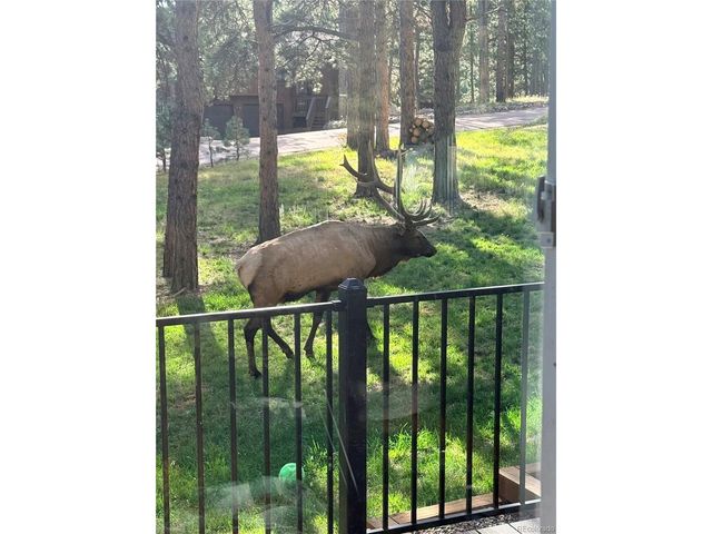 30188 Carriage Loop Dr, Evergreen, CO 80439