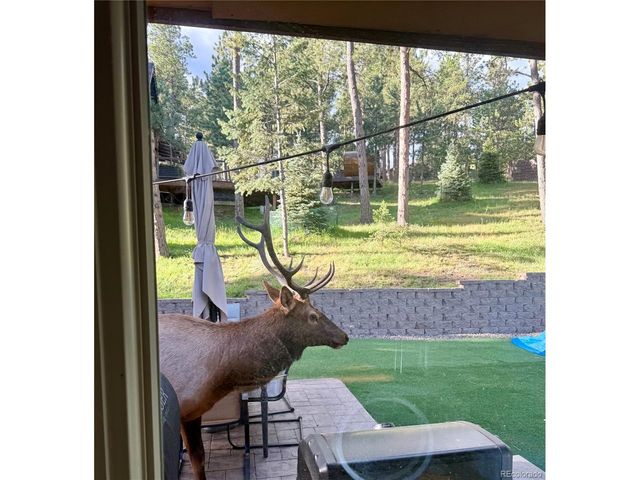 30188 Carriage Loop Dr, Evergreen, CO 80439